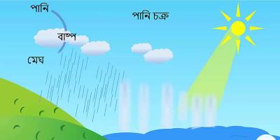 জীবনের জন্য পানি অধ্যায়ের ২টি সংক্ষিপ্ত প্রশ্ন ও উত্তর নিয়ে আলোচনা, ৫ম পর্ব, পঞ্চম শ্রেণির বিজ্ঞান